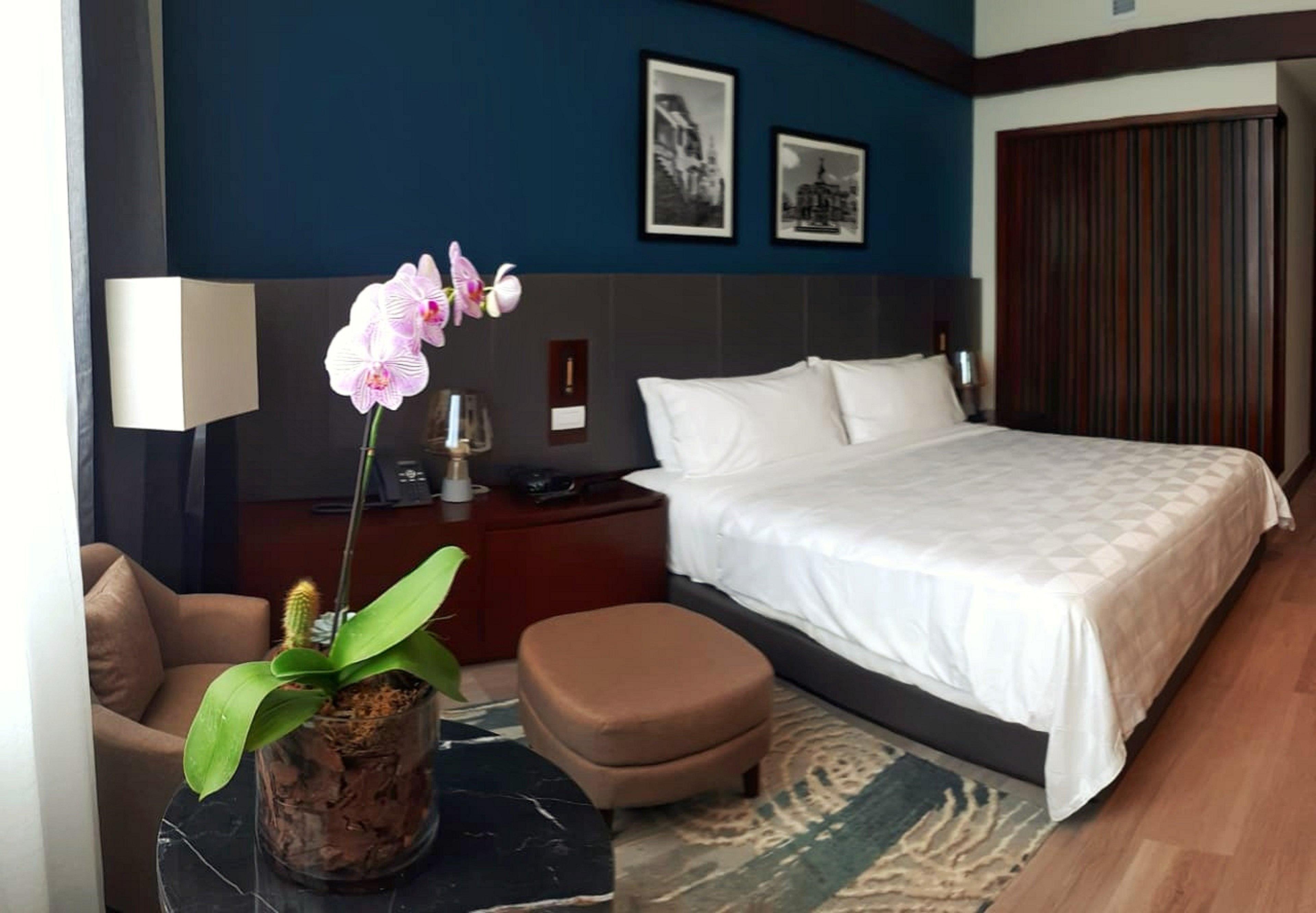 圣多明各假日套房酒店 聖多明哥 外观 照片 A bedroom at the hotel
