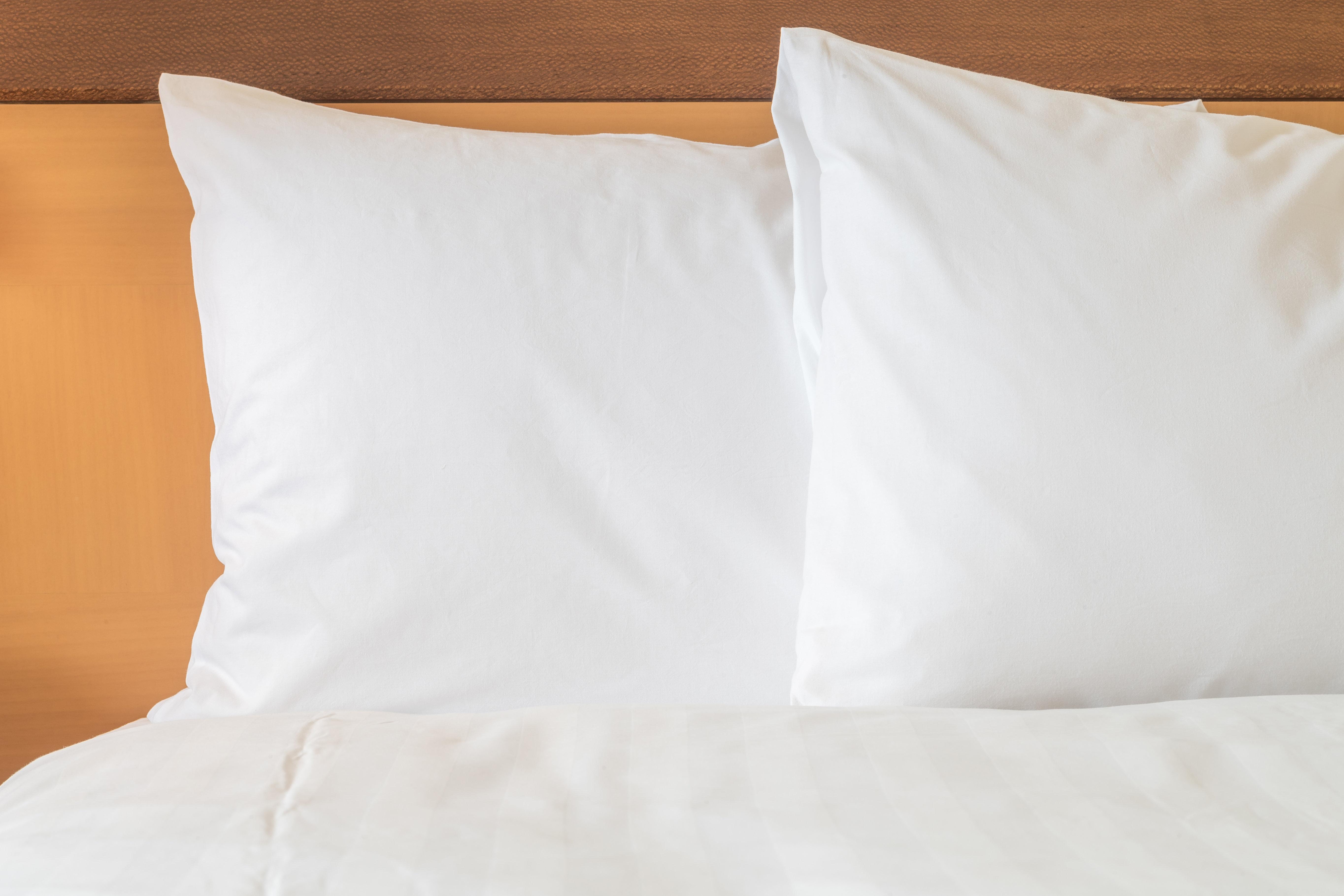 圣多明各假日套房酒店 聖多明哥 外观 照片 Two pillows on a bed